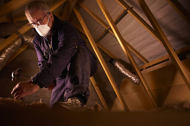 Best Insulation Maintenance and Repair in Rockdale, TX